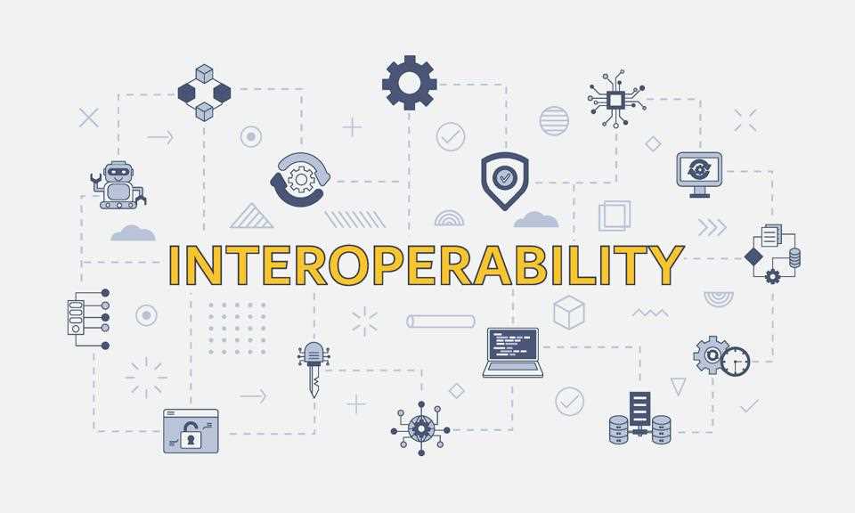 Understanding the Power of Interoperability